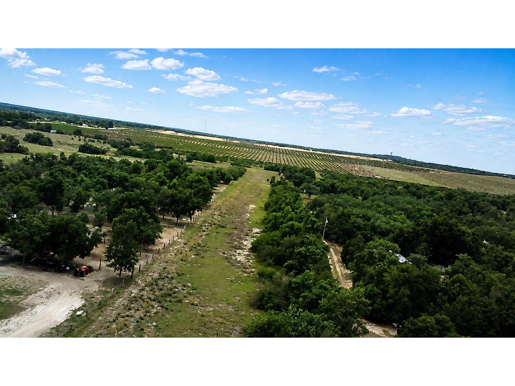 1716 Tindel Camp Road Lake Wales FL 33898 OM723893 image11