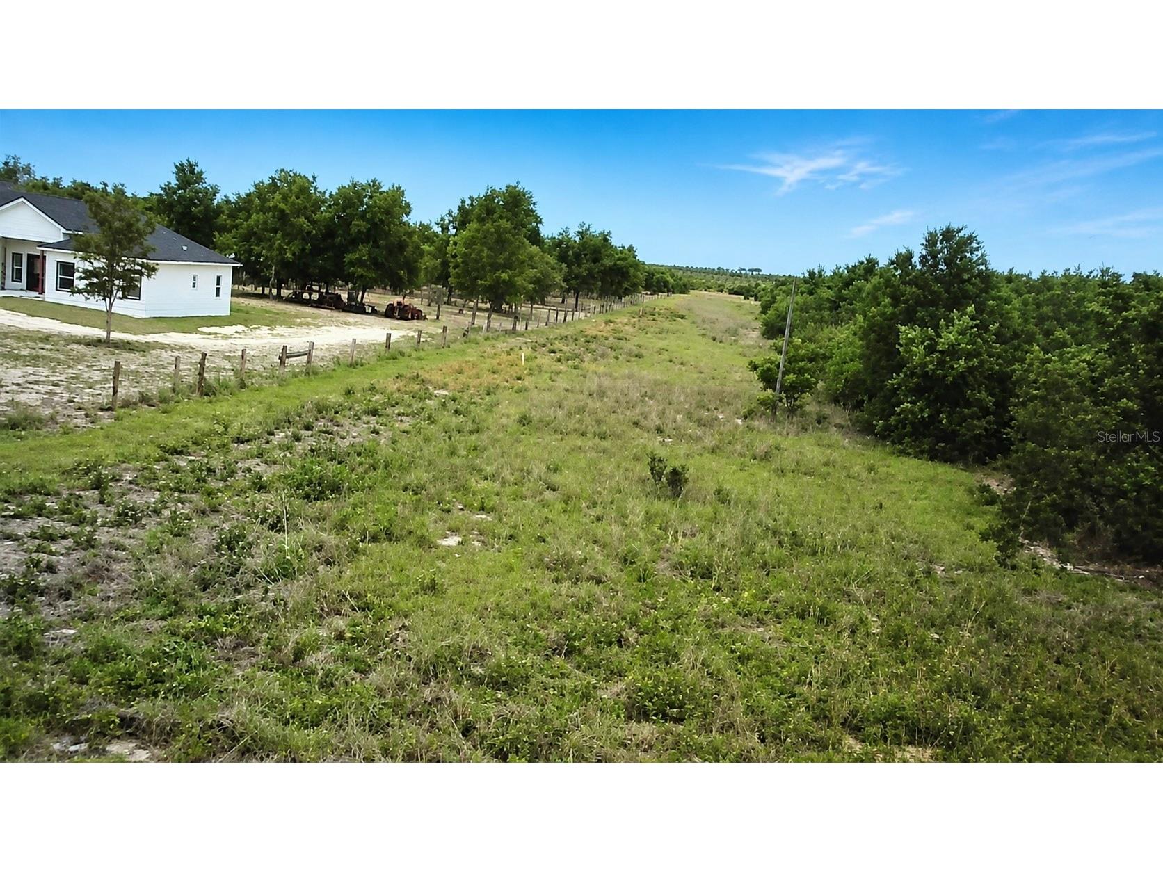1716 Tindel Camp Road Lake Wales FL 33898 OM723893 image12