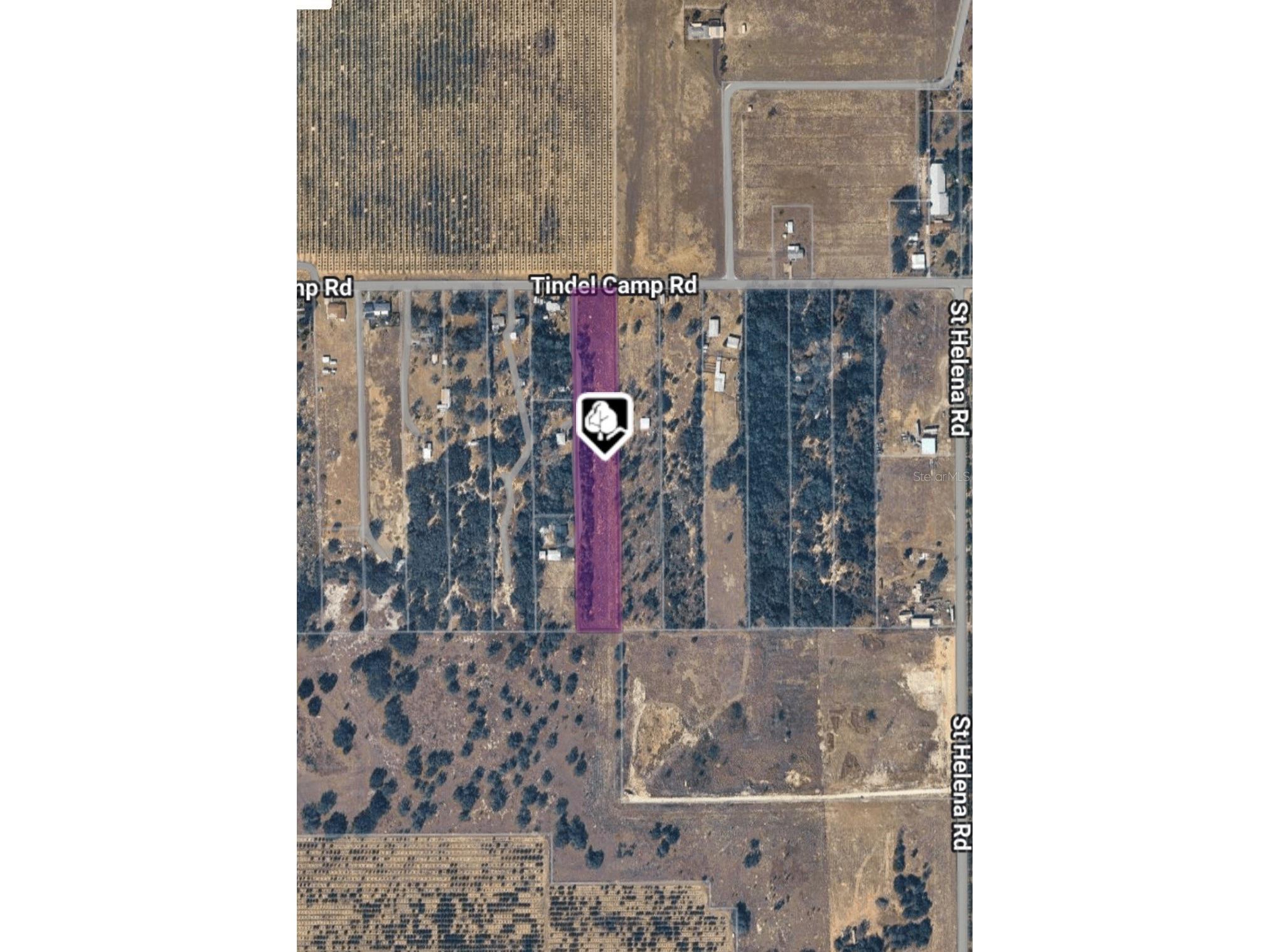 1716 Tindel Camp Road Lake Wales FL 33898 OM723893 image15