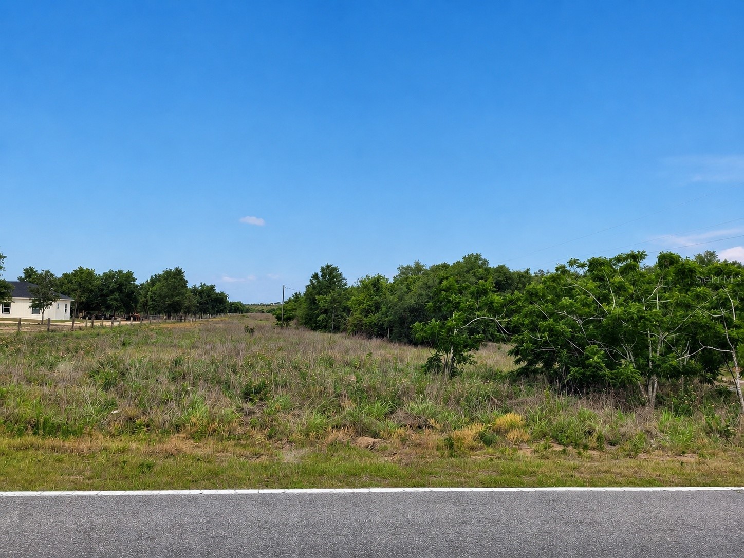 1716 Tindel Camp Road Lake Wales FL 33898 OM723893 image5
