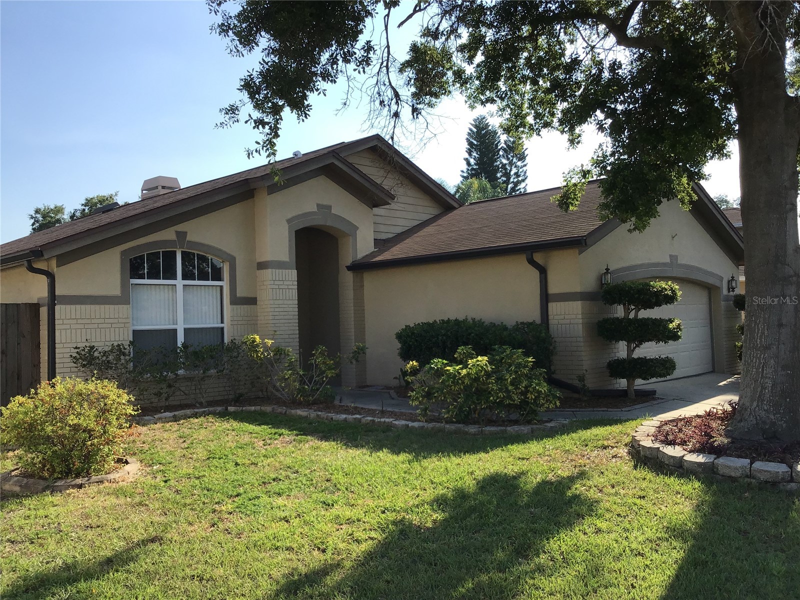 1716 Westerly Drive Brandon FL 33511 TB8488726 image1