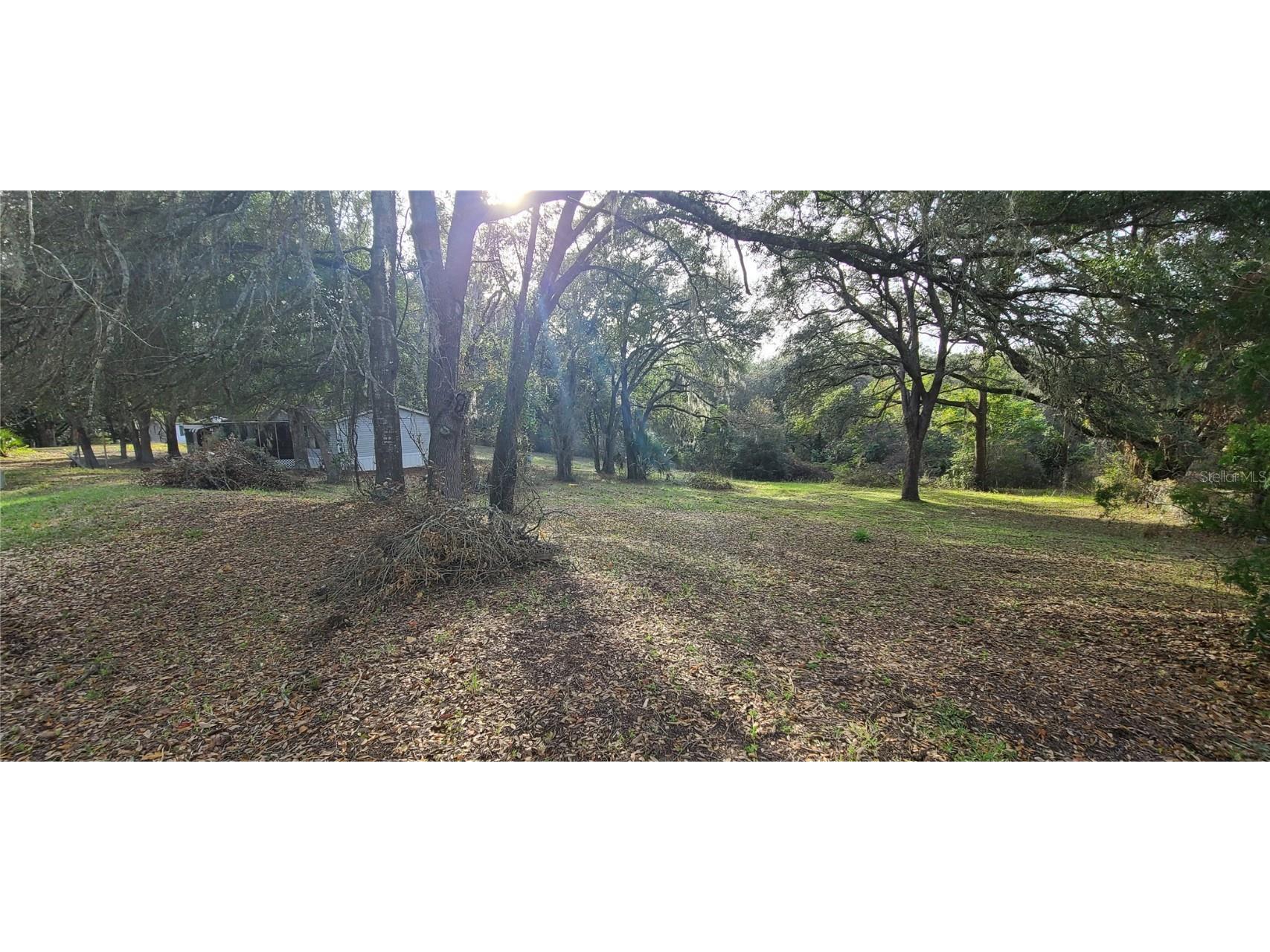 17160 SE 251st Terrace Umatilla FL 32784 G5076733 image1
