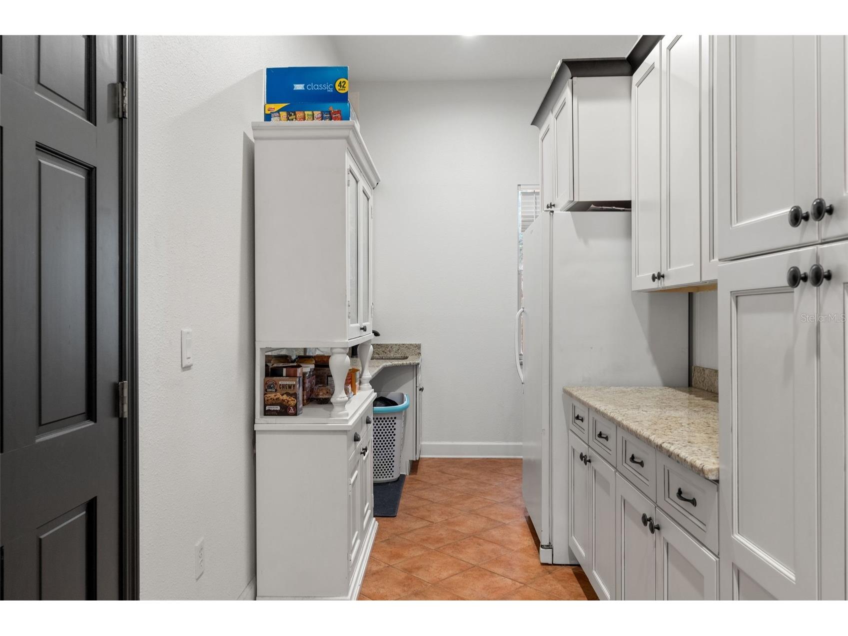 17163 Benes Roush Road Brooksville FL 34604 W7887176 image28