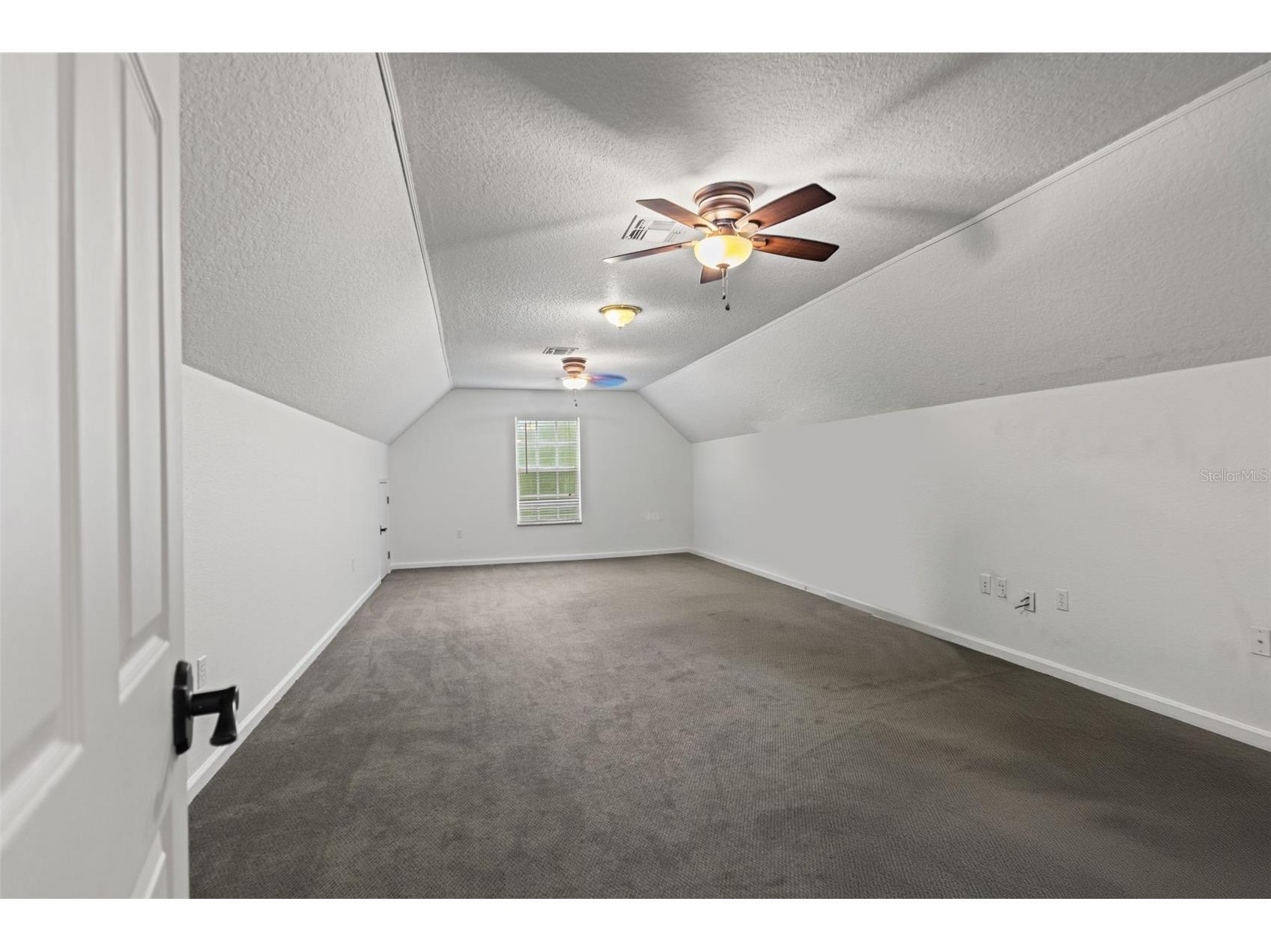 17163 Benes Roush Road Brooksville FL 34604 W7887176 image31
