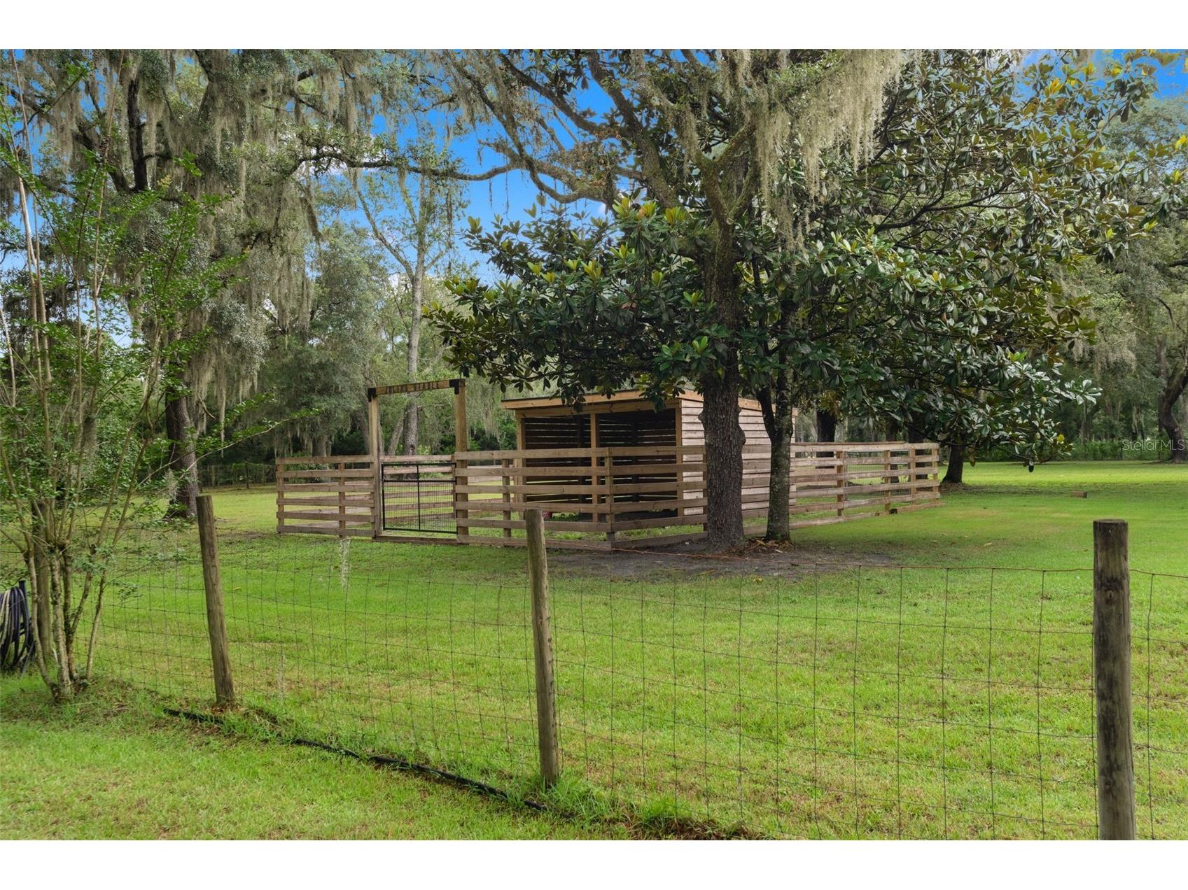 17163 Benes Roush Road Brooksville FL 34604 W7887176 image56