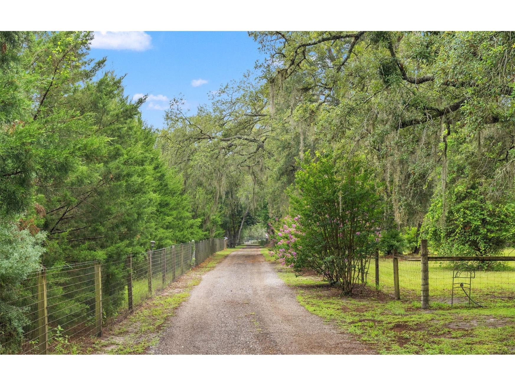 17163 Benes Roush Road Brooksville FL 34604 W7887176 image66