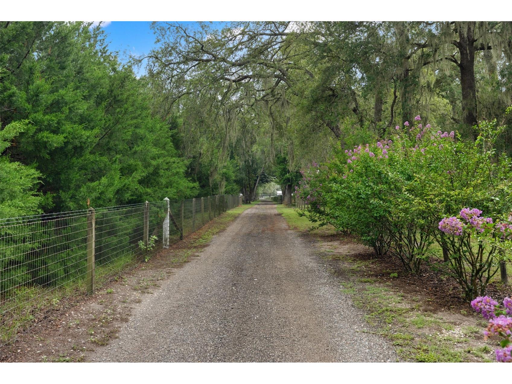 17163 Benes Roush Road Brooksville FL 34604 W7887176 image67