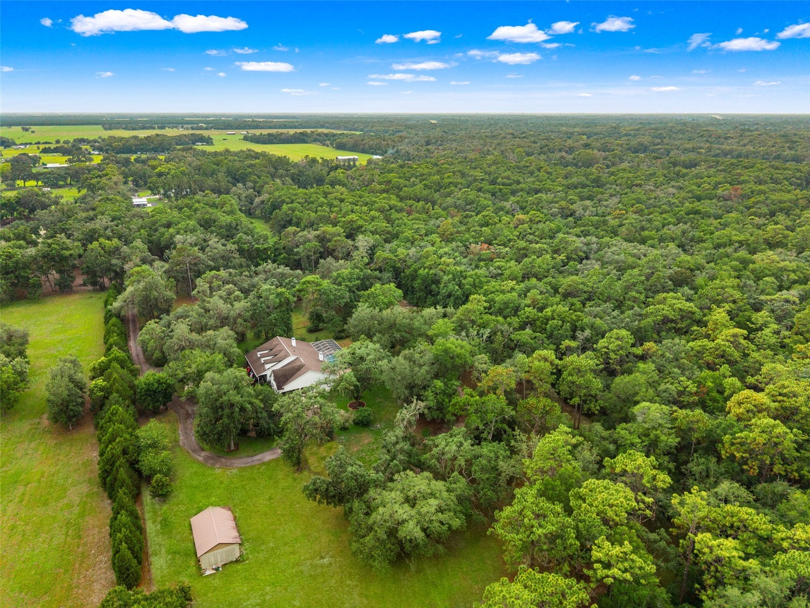 17163 Benes Roush Road Brooksville FL 34604 W7887176 image68