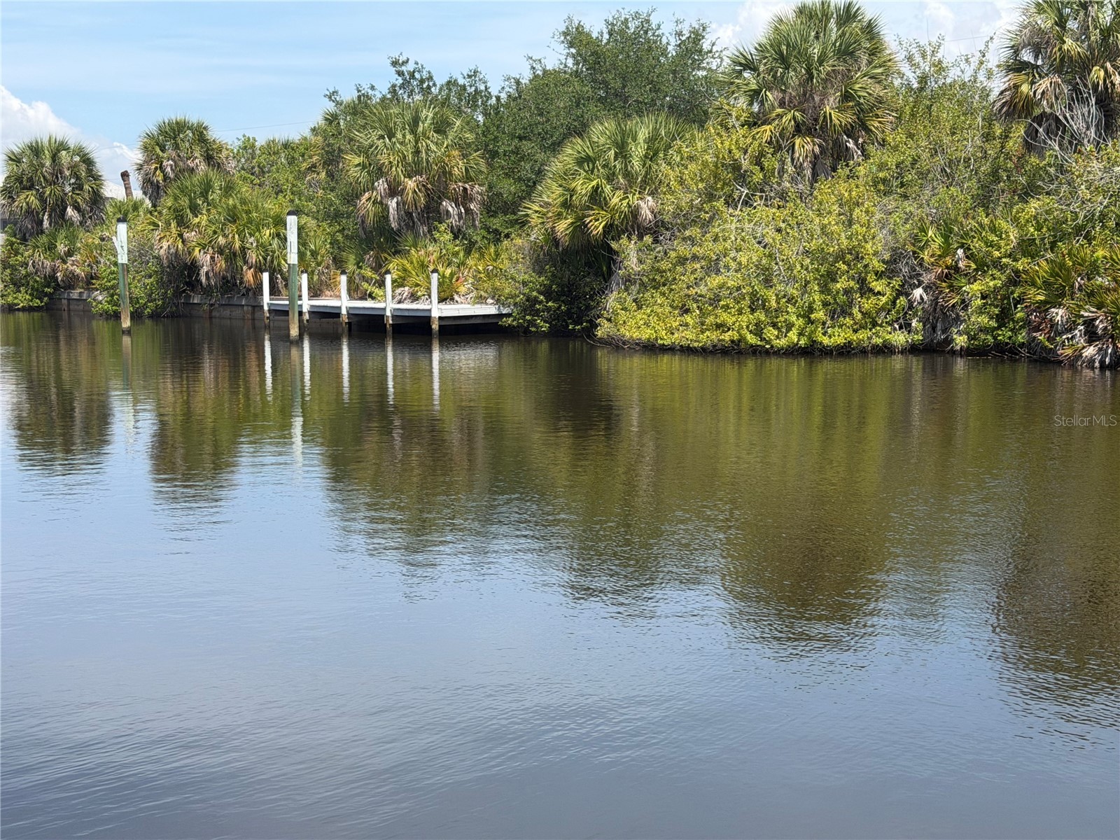 17163 Edgewater Drive Port Charlotte FL 33948 - SEASHORE WATERWAY A4692238 image3