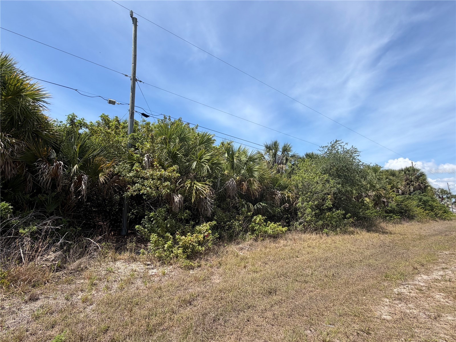 17163 Edgewater Drive Port Charlotte FL 33948 - SEASHORE WATERWAY A4692238 image4