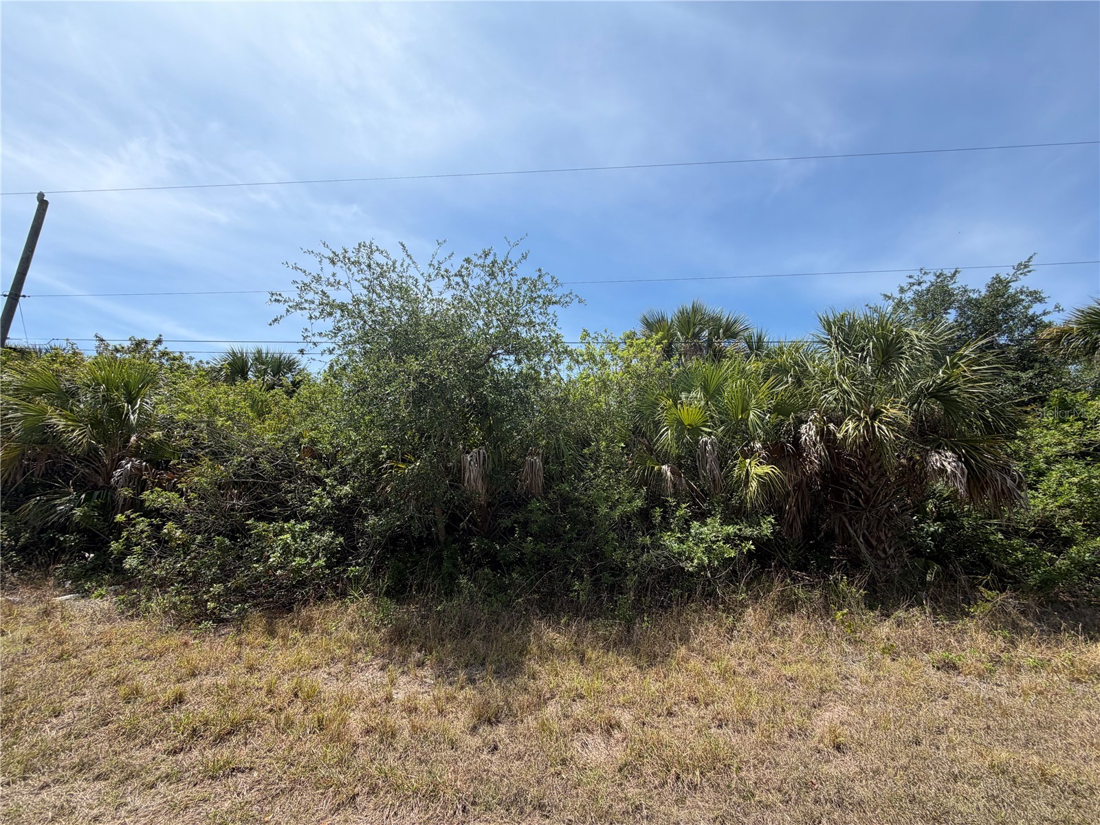 17163 Edgewater Drive Port Charlotte FL 33948 - SEASHORE WATERWAY A4692238 image5