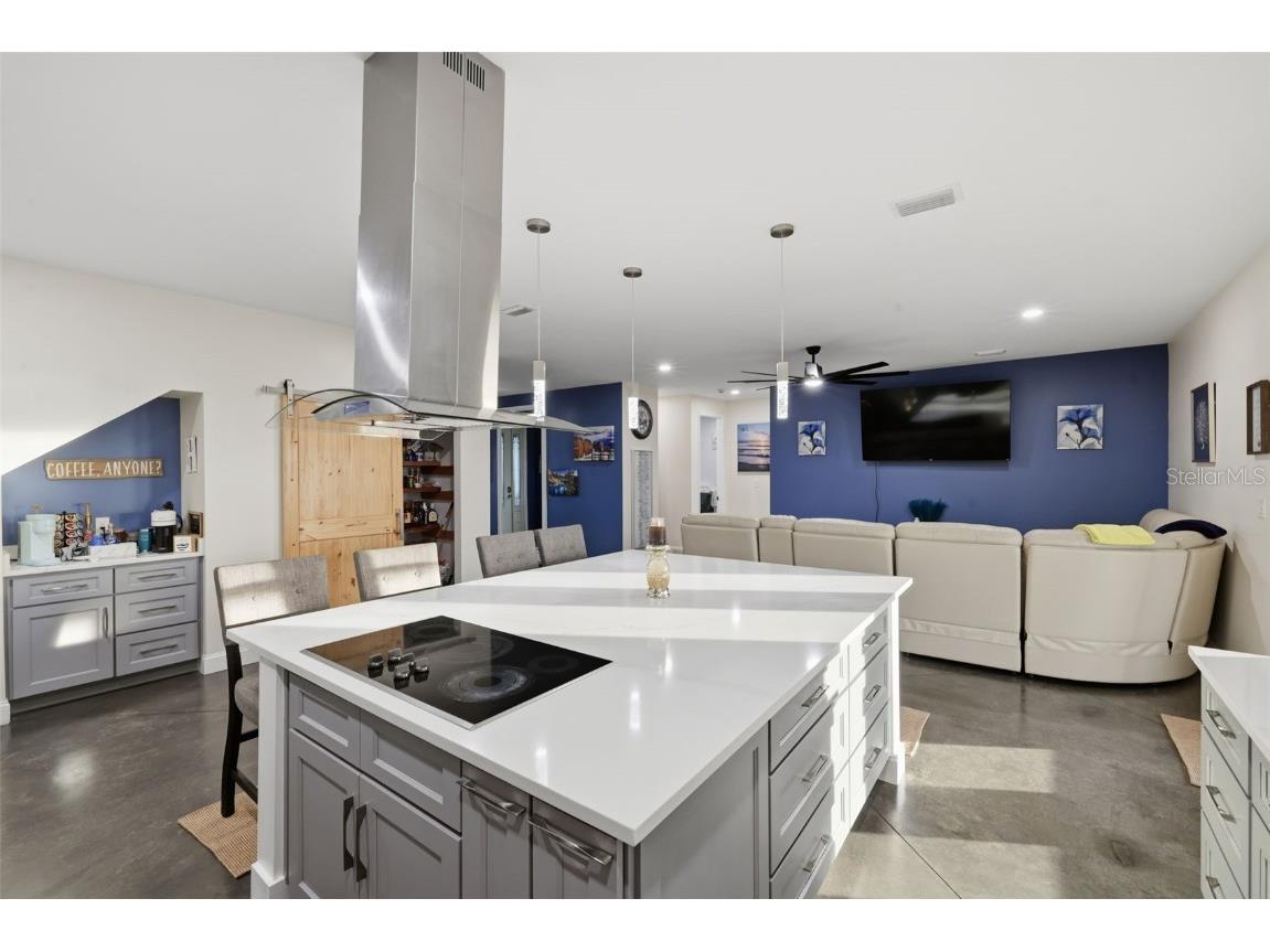 17165 Lake Iola Road Dade City FL 33523 TB8454252 image37