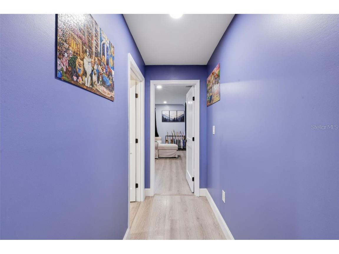 17165 Lake Iola Road Dade City FL 33523 TB8454252 image52