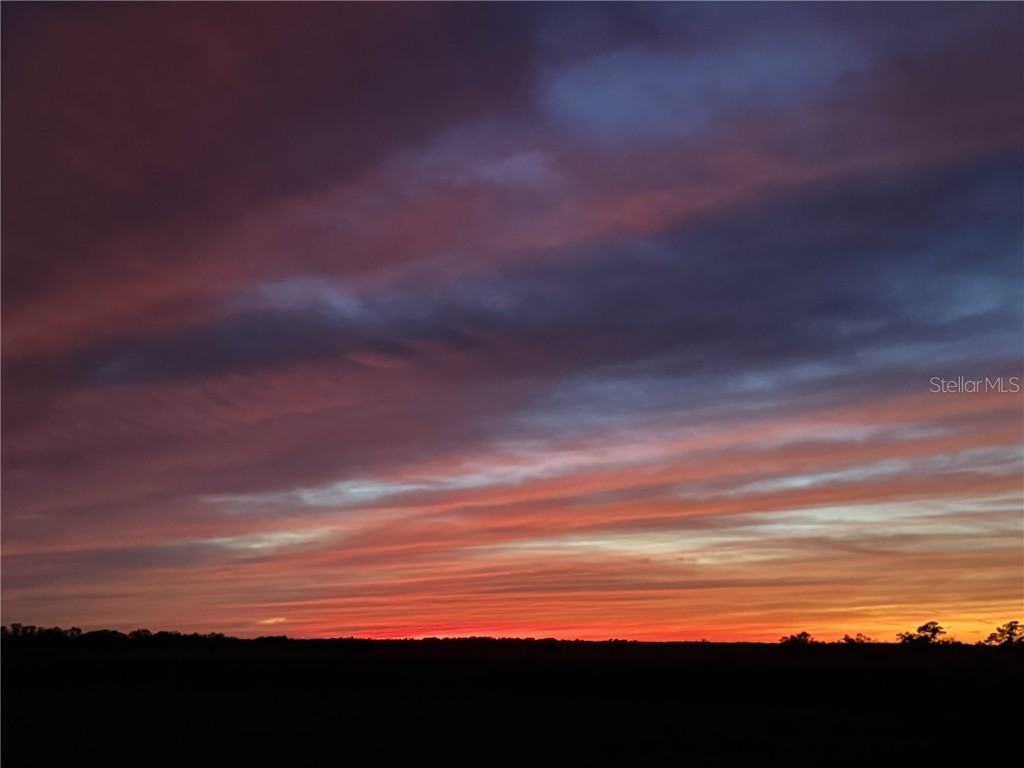 17165 Lake Iola Road Dade City FL 33523 TB8454252 image77