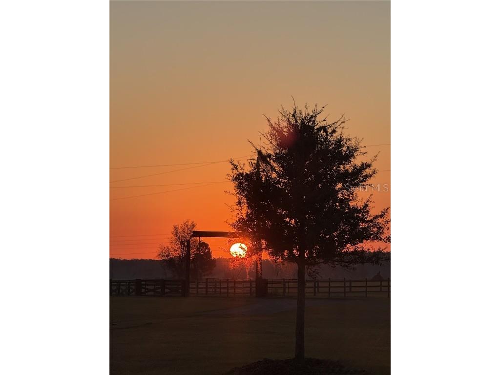 17165 Lake Iola Road Dade City FL 33523 TB8454252 image78