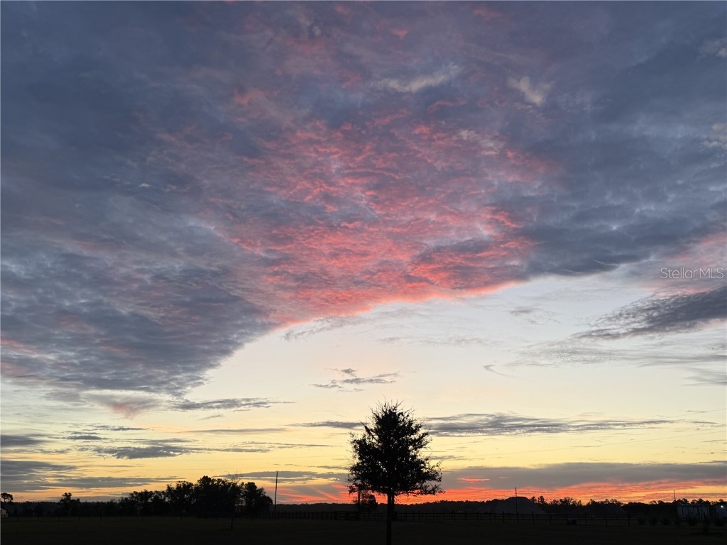 17165 Lake Iola Road Dade City FL 33523 TB8454252 image80