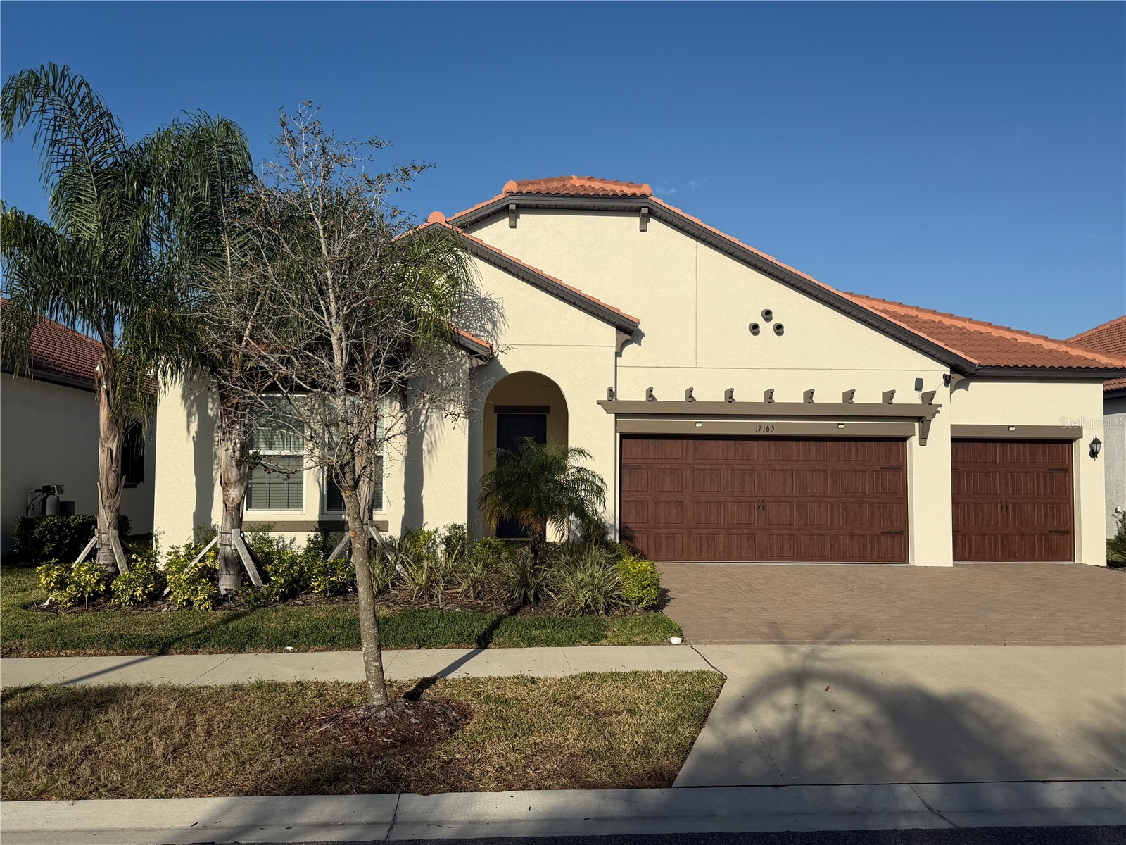 17165 Scuba Crest Street Wimauma FL 33598 TB8484216 image1