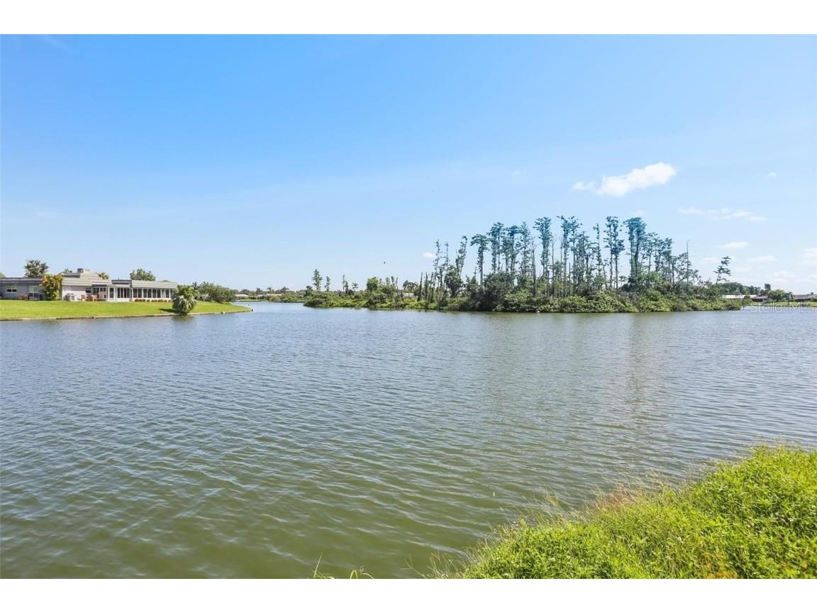 1717 Danbury Drive Sun City Center FL 33573 - Middle lake TB8416302 image5