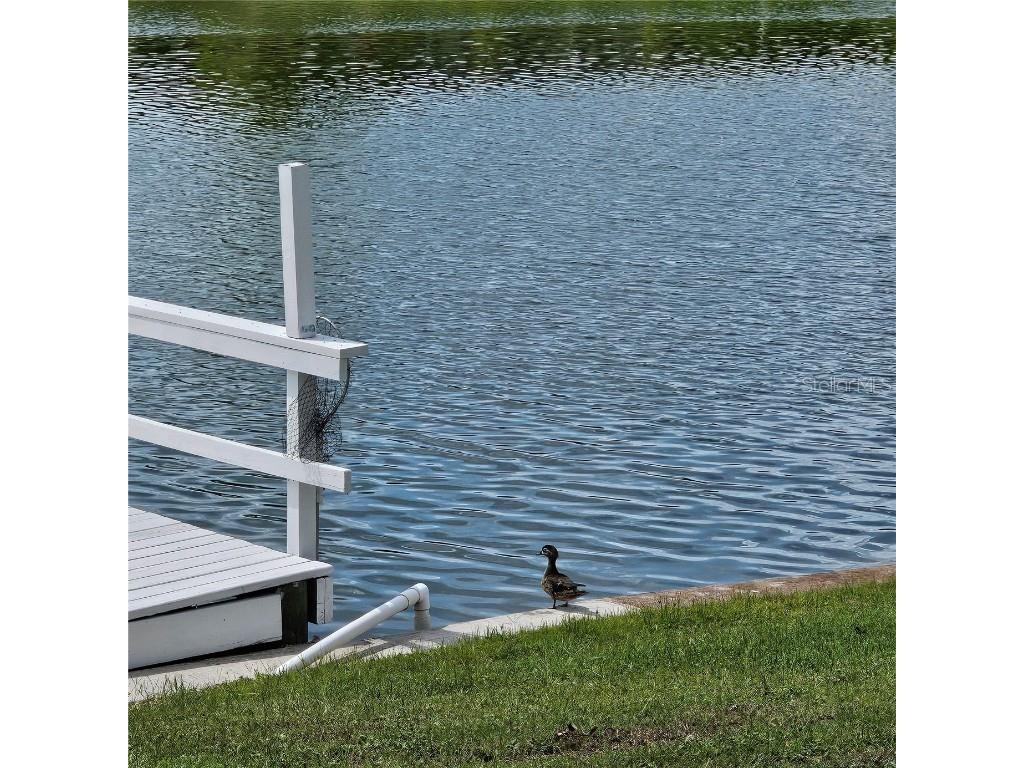 1717 Danbury Drive Sun City Center FL 33573 - Middle lake TB8416402 image29