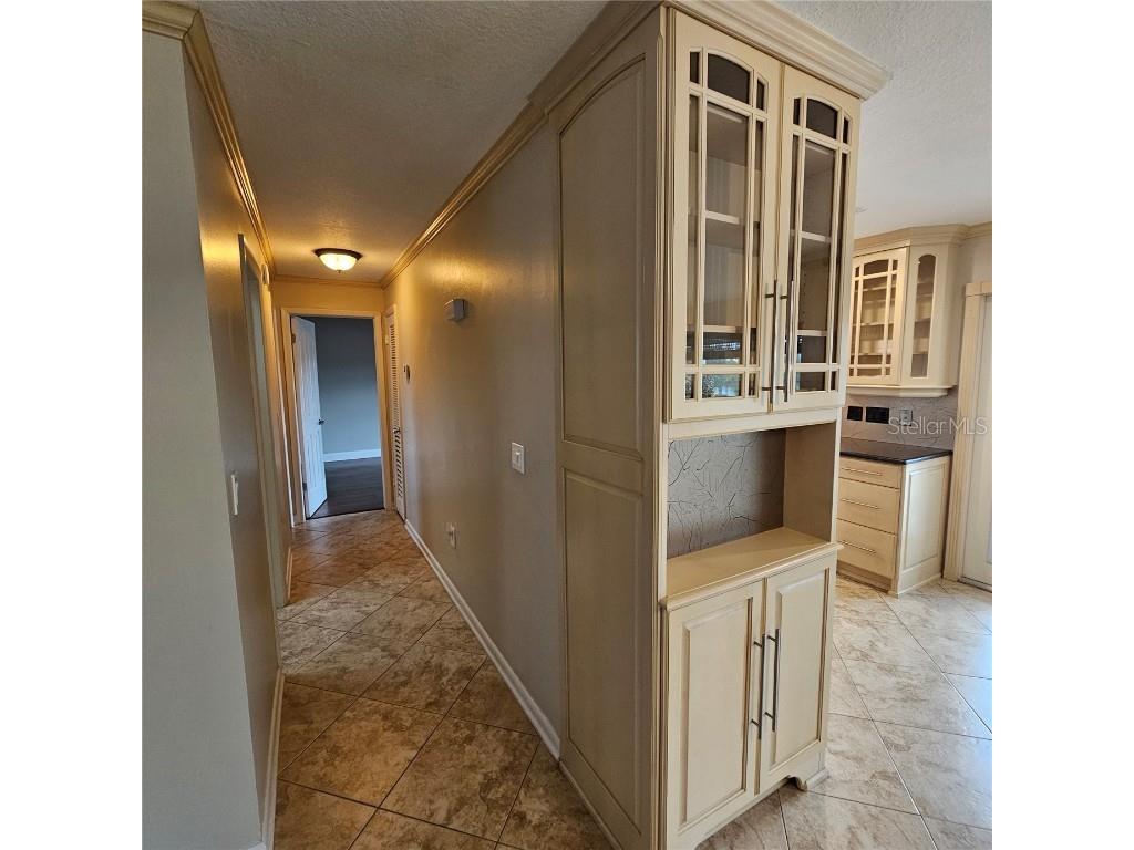 1717 Danbury Drive Sun City Center FL 33573 - Middle lake TB8416402 image6