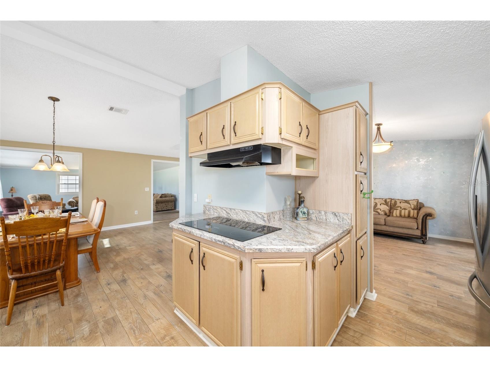 1717 Lilly Lane The Villages FL 32159 G5109138 image17