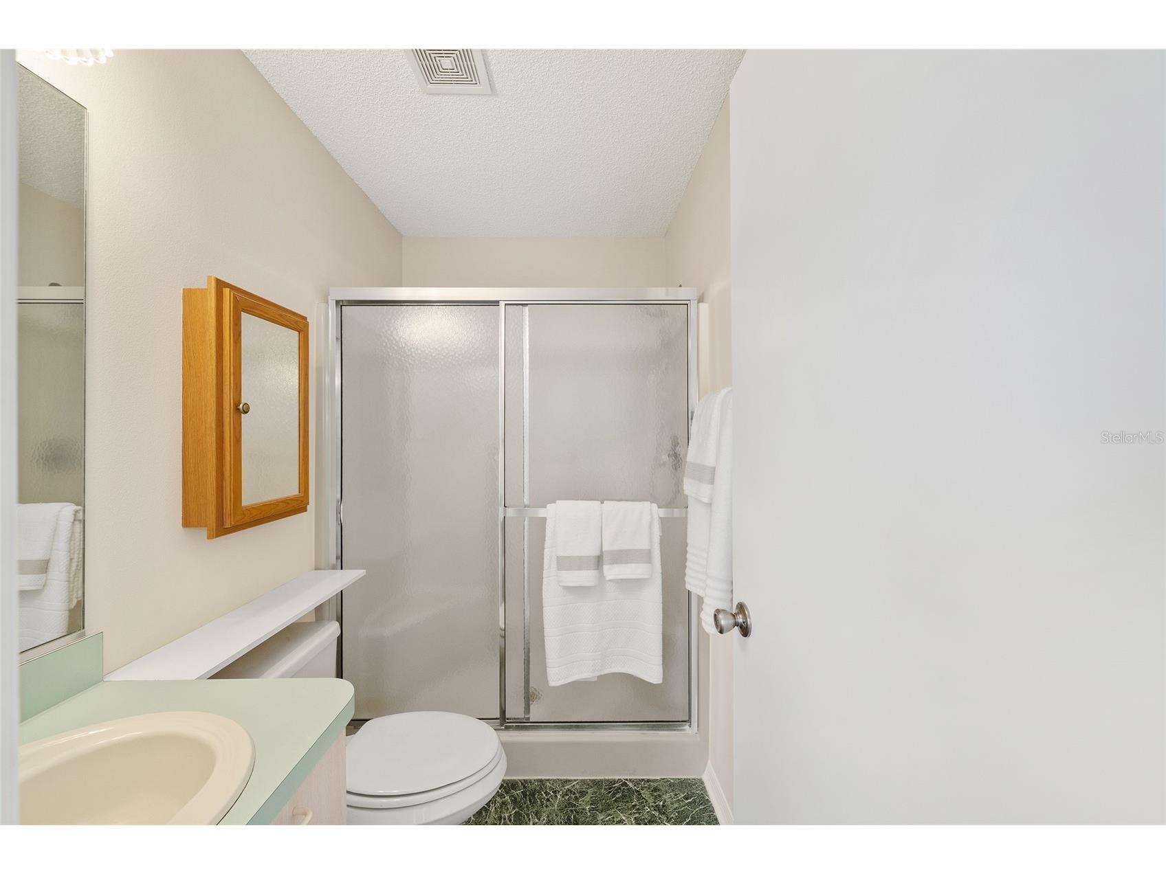 1717 Moreno Place The Villages FL 32159 G5106707 image21