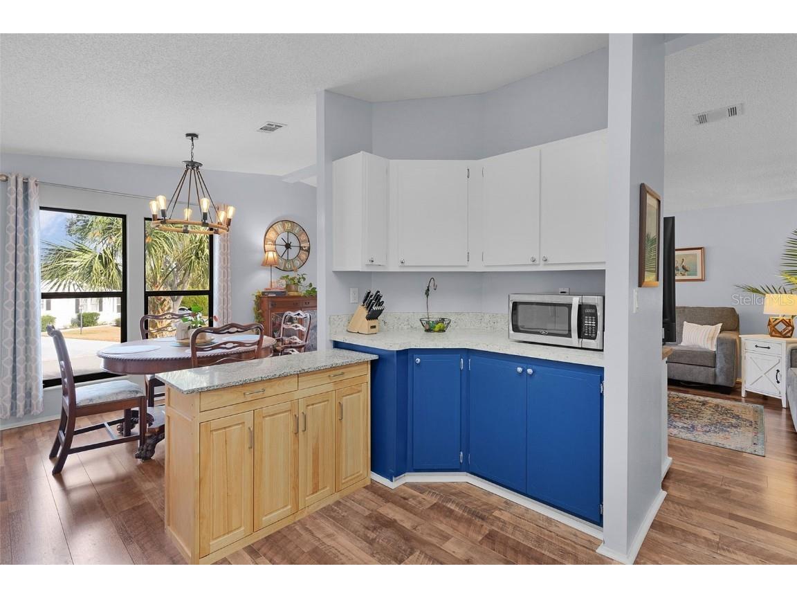 1717 Palm Aire Drive Lady Lake FL 32159 G5104998 image7