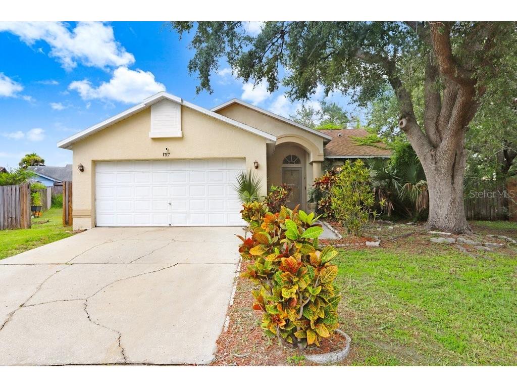 1717 Springwell Place Brandon FL 33511 T3546206 image1