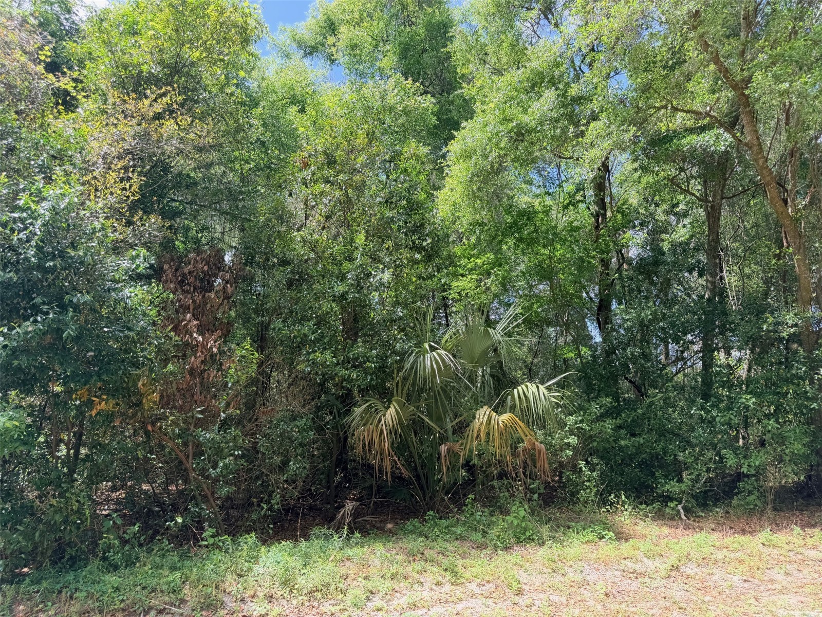 17170 NW 73rd Terrace Trenton FL 32693 GC539391 image1