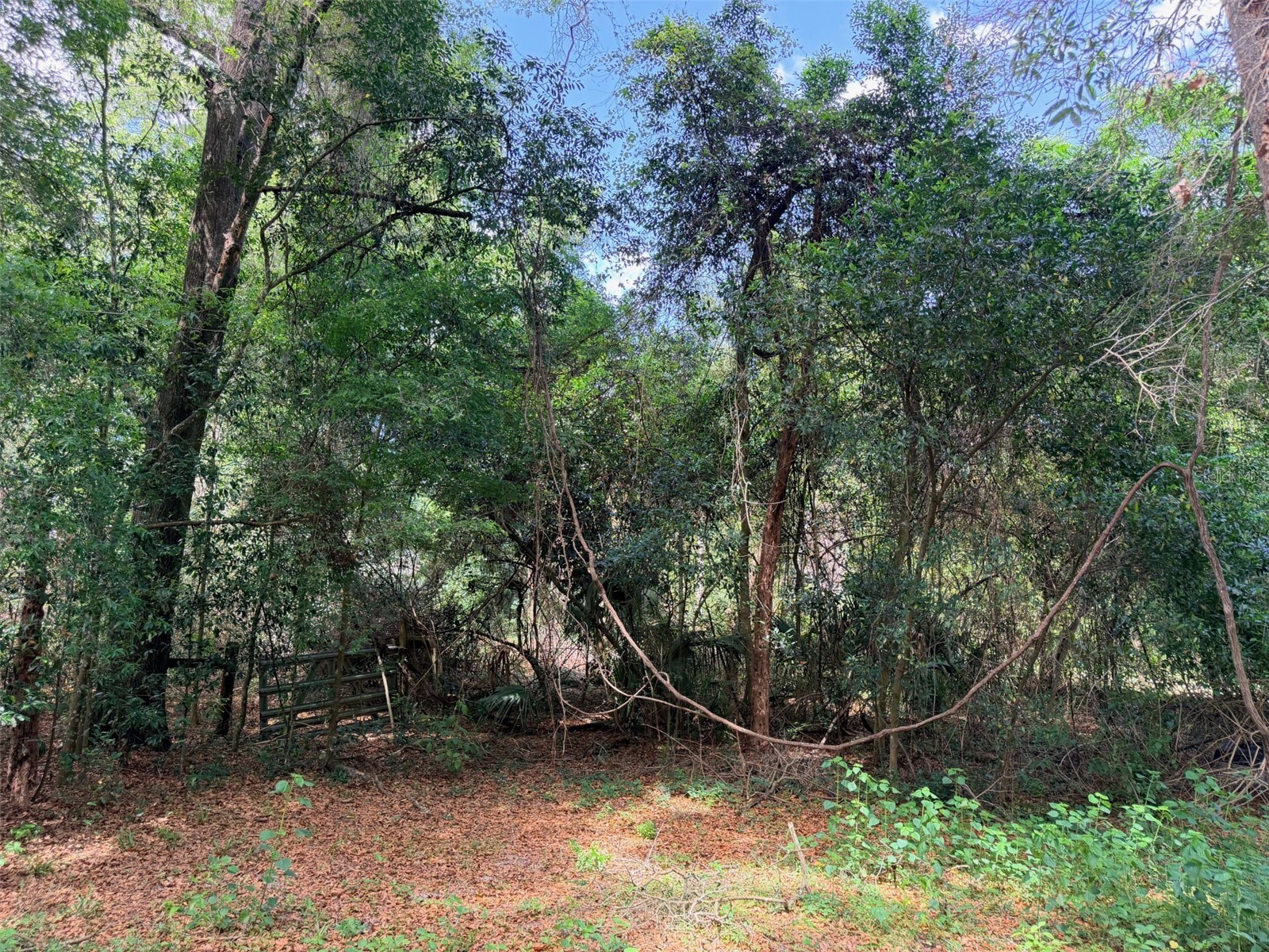 17170 NW 73rd Terrace Trenton FL 32693 GC539391 image10