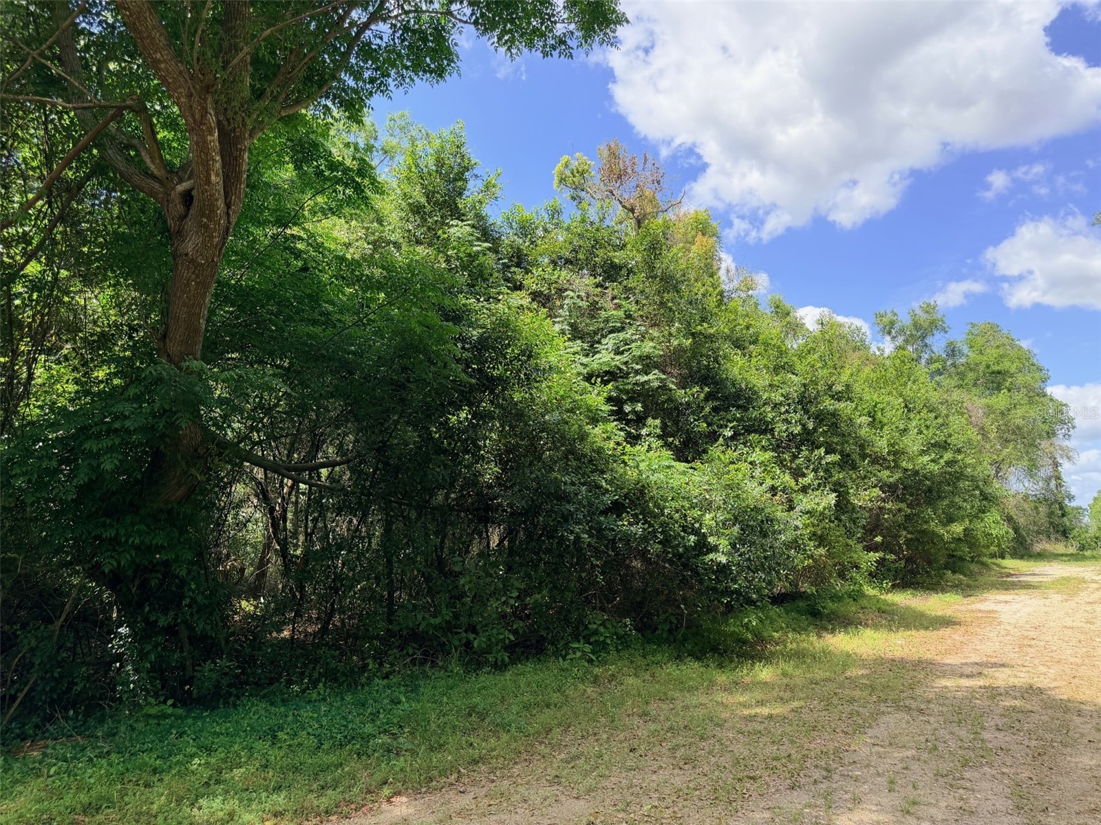 17170 NW 73rd Terrace Trenton FL 32693 GC539391 image4