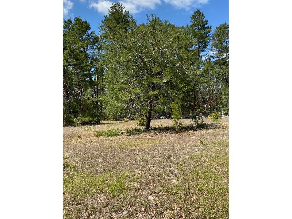 17171 SW 17th Circle Ocala FL 34473 A4669704 image10