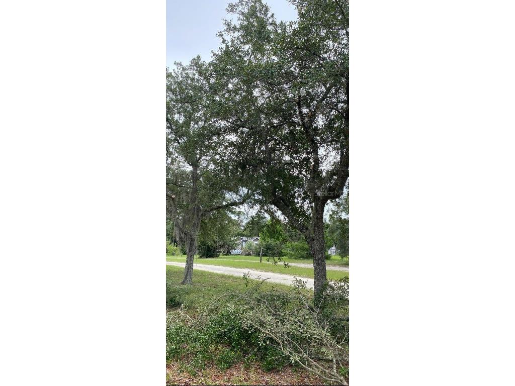 17171 SW 17th Circle Ocala FL 34473 A4669704 image12