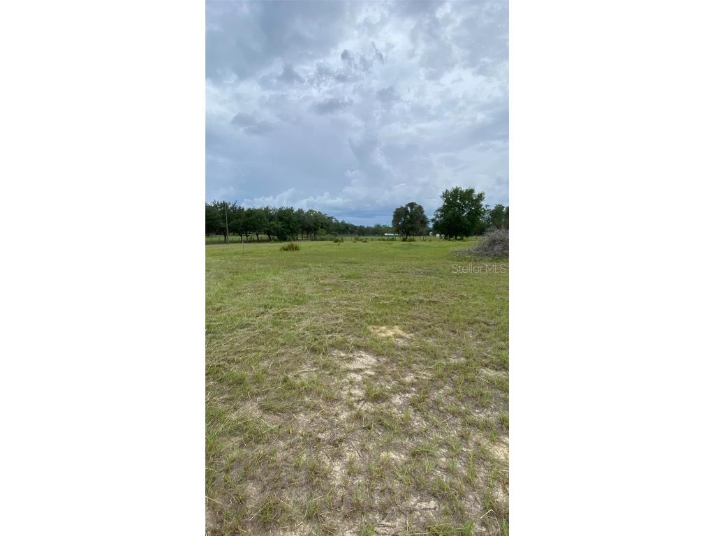 17171 SW 17th Circle Ocala FL 34473 A4669704 image13