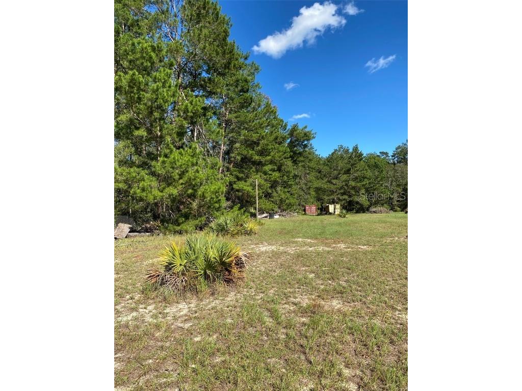 17171 SW 17th Circle Ocala FL 34473 A4669704 image5