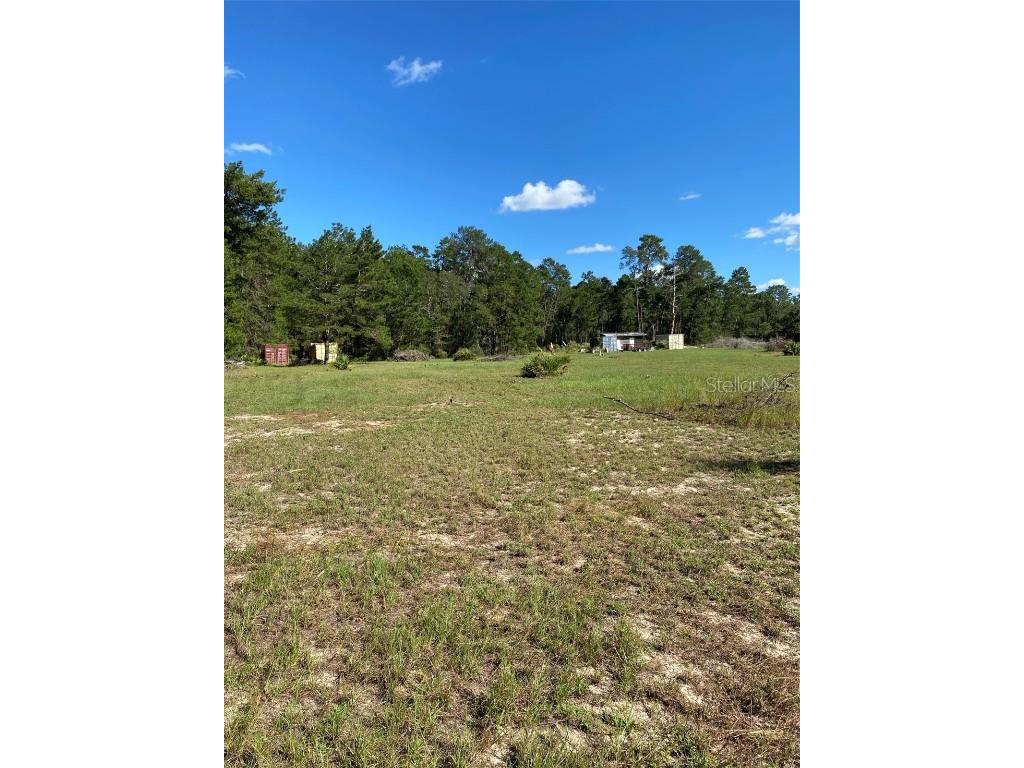 17171 SW 17th Circle Ocala FL 34473 A4669704 image6