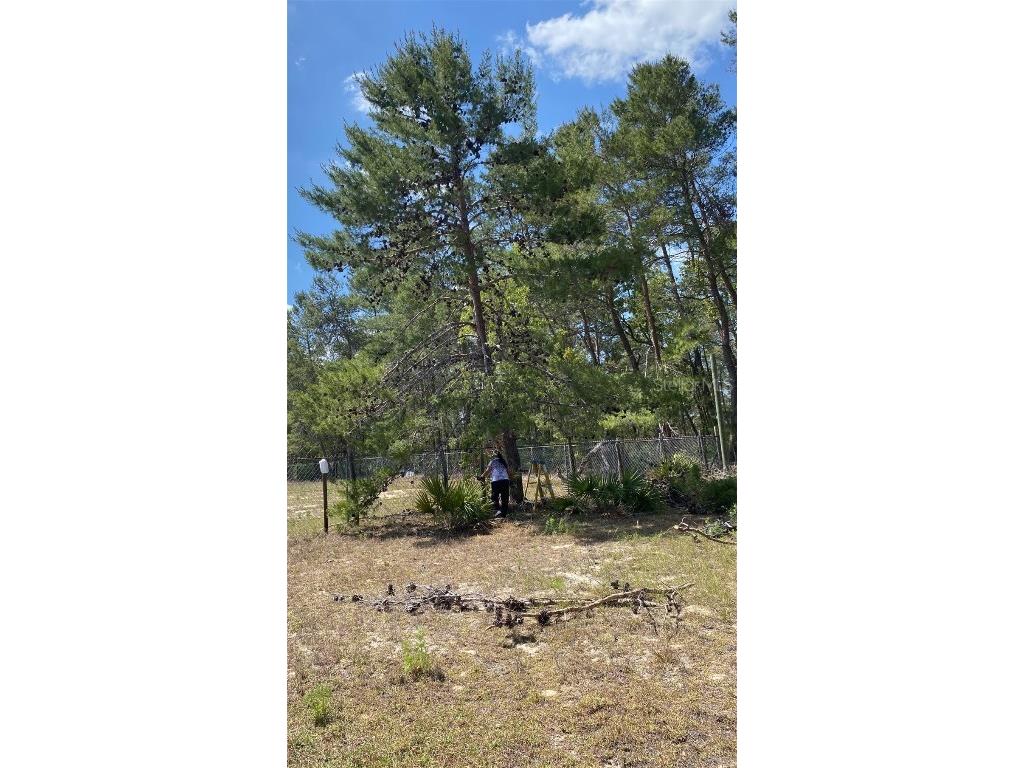 17171 SW 17th Circle Ocala FL 34473 A4669704 image9