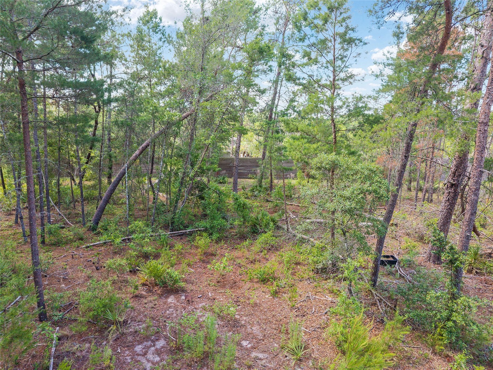 17171 SW 17th Circle Ocala FL 34473 O6416452 image14