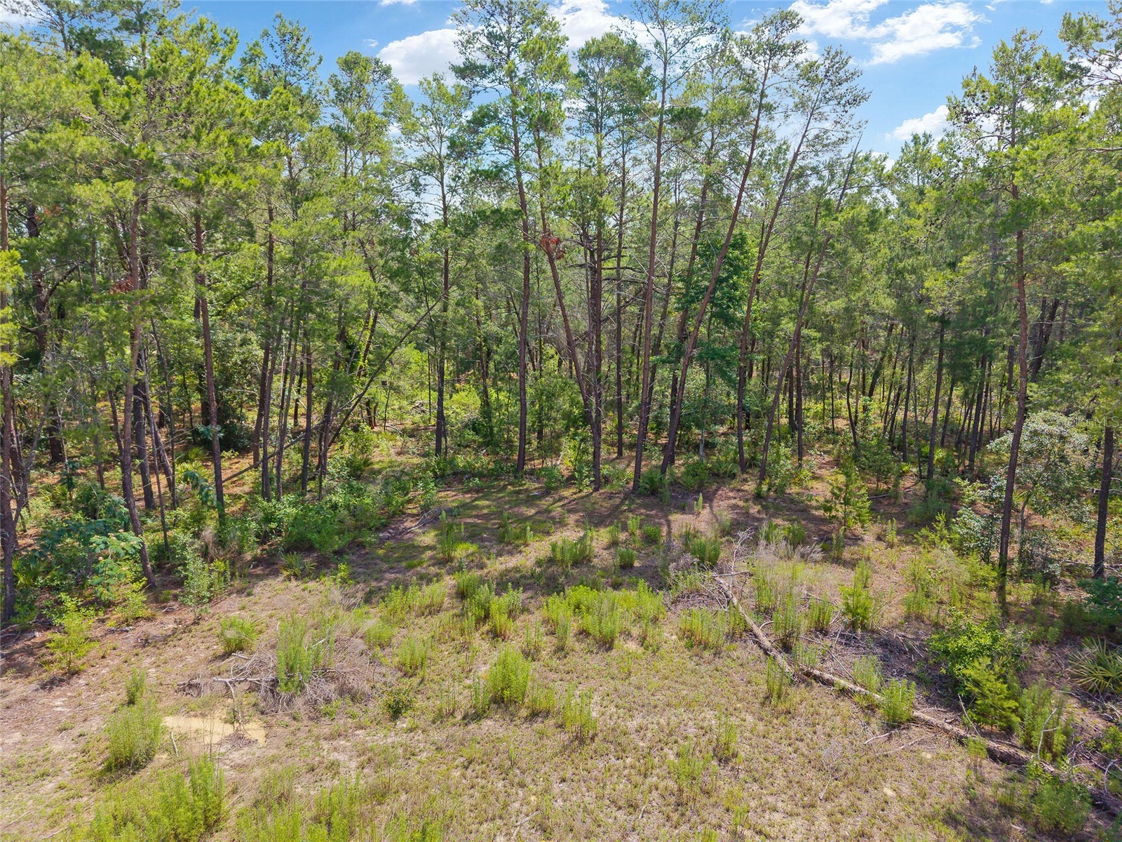 17171 SW 17th Circle Ocala FL 34473 O6416452 image15