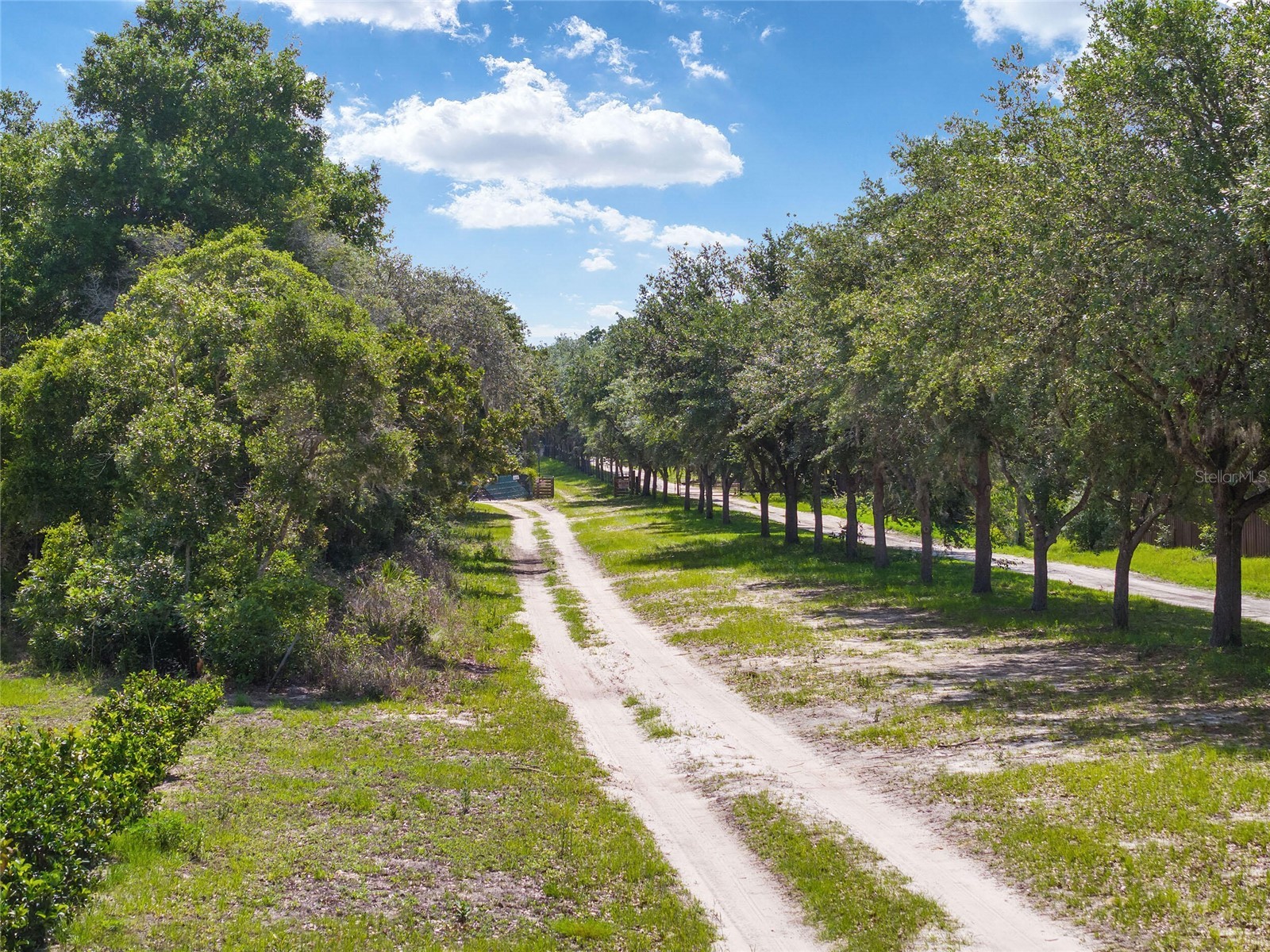 17171 SW 17th Circle Ocala FL 34473 O6416452 image3