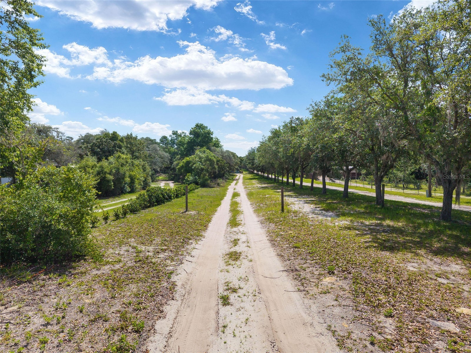 17171 SW 17th Circle Ocala FL 34473 O6416452 image4