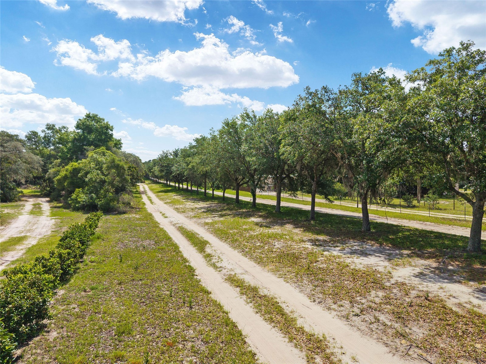 17171 SW 17th Circle Ocala FL 34473 O6416452 image5