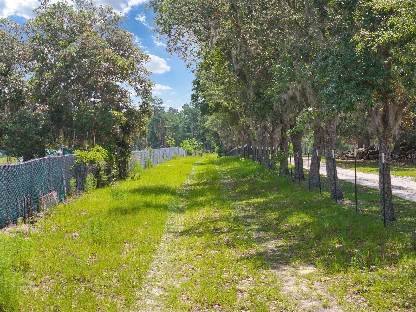17171 SW 17th Circle Ocala FL 34473 O6416452 image6