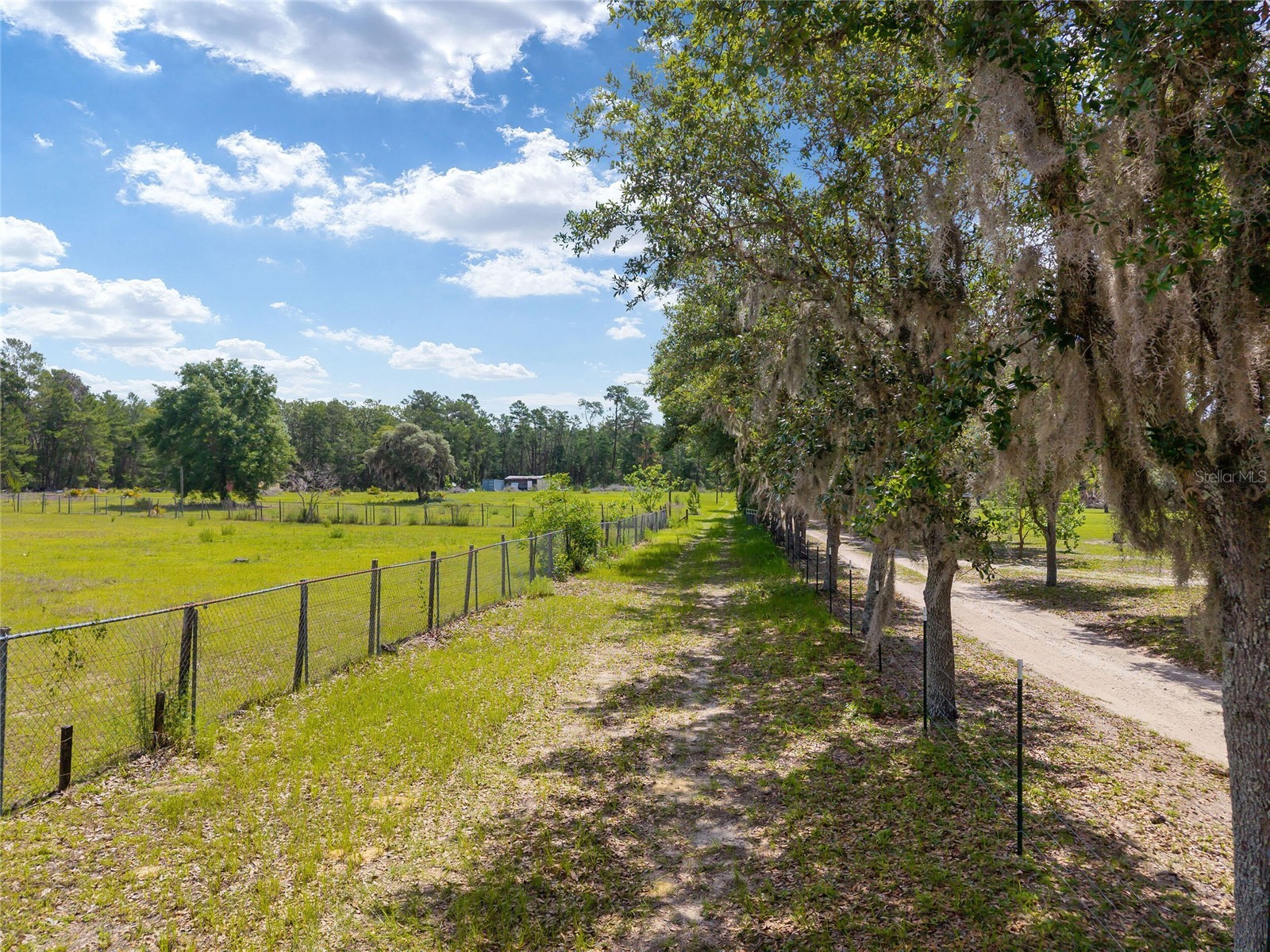 17171 SW 17th Circle Ocala FL 34473 O6416452 image7