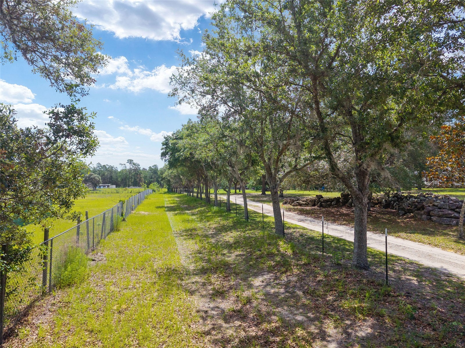 17171 SW 17th Circle Ocala FL 34473 O6416452 image8