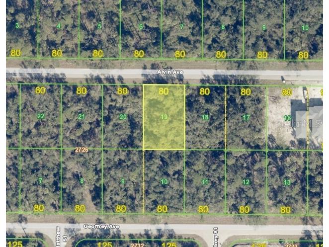 17175 Alvin Avenue Port Charlotte FL 33948 C7521863 image2