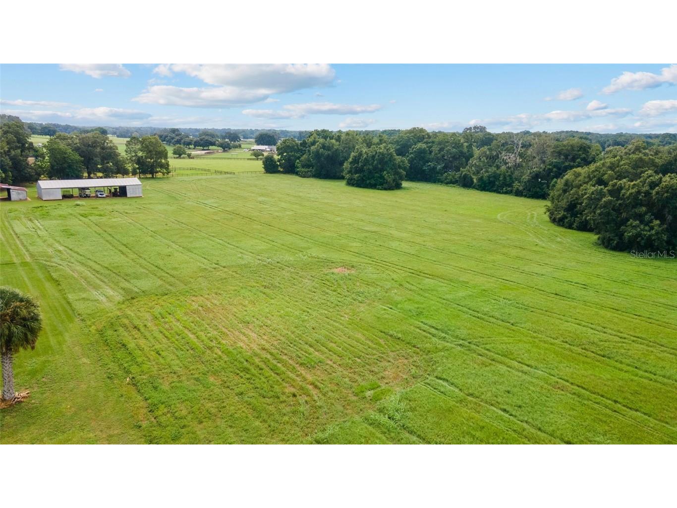 17176 N Us Highway 441 Reddick FL 32686 OM713643 image10