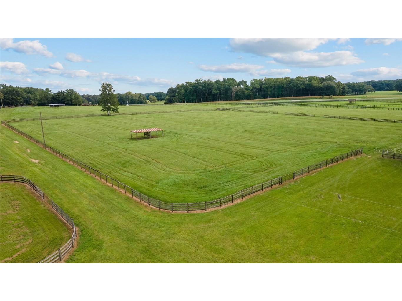 17176 N Us Highway 441 Reddick FL 32686 OM713643 image11