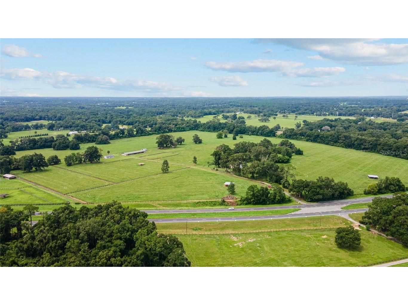 17176 N Us Highway 441 Reddick FL 32686 OM713643 image13