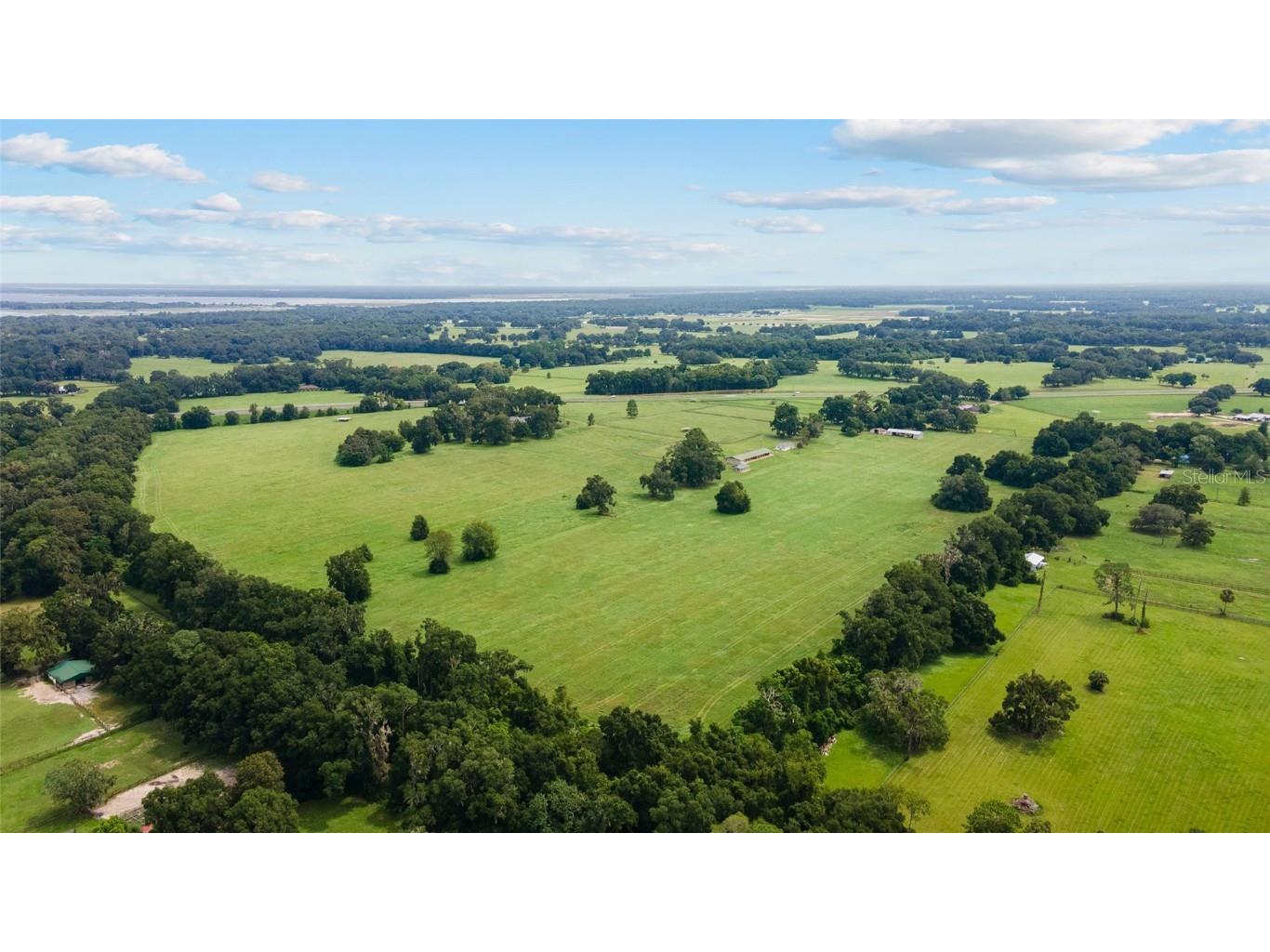 17176 N Us Highway 441 Reddick FL 32686 OM713643 image16